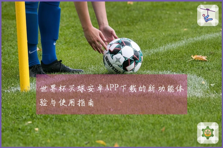 世界杯买球安卓APP下载的新功能体验与使用指南