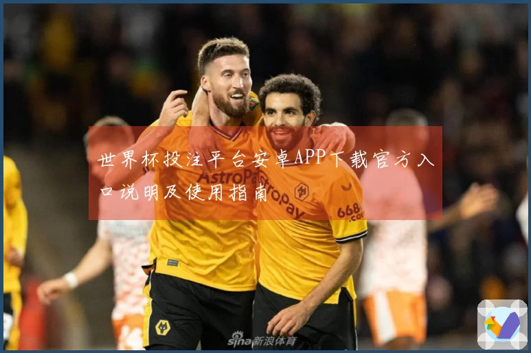 世界杯投注平台安卓APP下载官方入口说明及使用指南