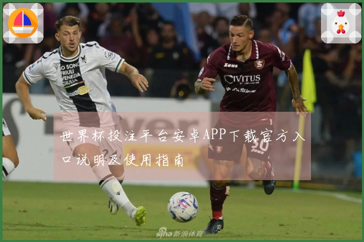 世界杯投注平台安卓APP下载官方入口说明及使用指南