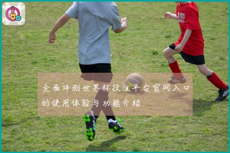 全面评测世界杯投注平台官网入口的使用体验与功能介绍