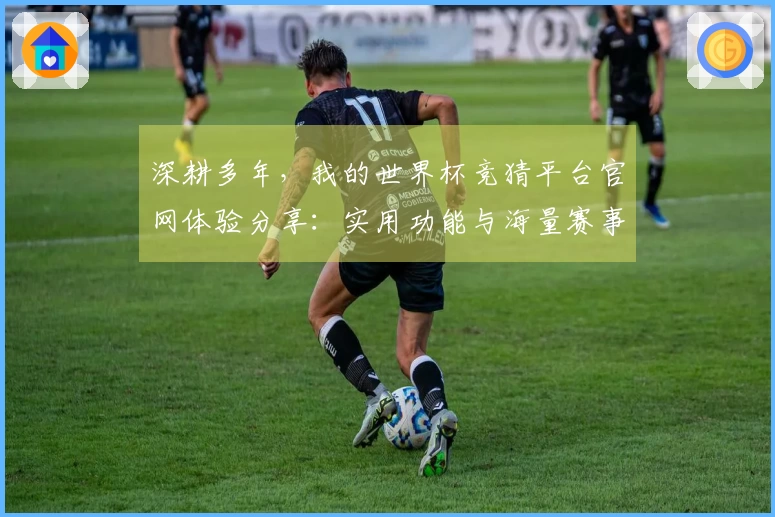 深耕多年，我的世界杯竞猜平台官网体验分享：实用功能与海量赛事一手掌握